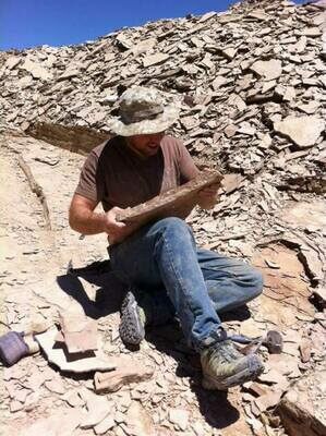 Collecting the interbedded shales and limestones of the Marjum Formation